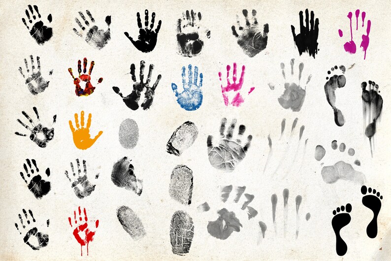 150 Fingerprint Handprint Brushes, Biometric Stamp Brushes, Realistic ...