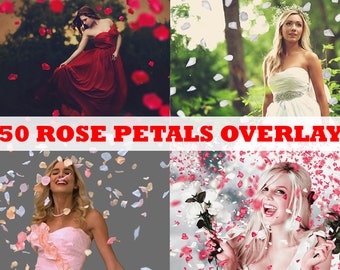 350 RED Rose Petals Overlays for Photoshop, petals red overlay, valentine overlays, falling rose petals, Trasparent background PNG PSD File