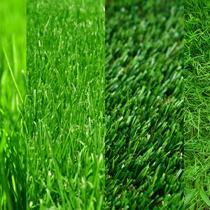 May include: Close-up of four different types of green grass. The grass on the left is a natural, lush green. The grass in the middle is a darker green and appears to be artificial turf. The grass on the right is a lighter green and appears to be a natural, wild grass.