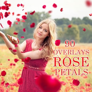 May include: A woman in a red dress stands in a field of red rose petals. The text "90 Overlays Rose Petals" is superimposed on the image.
