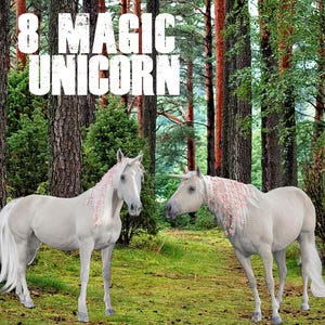 8 Unicorn horse overlays, Realistic animal, white horse,Magical Unicorn Fantasy, Photoshop overlay, Unicorn PNG fairy, magic horse