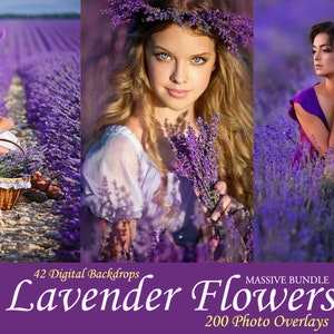 200 Lavender photo overlays shooting through the lavender effect, digital overlays for Photoshop, French Lavender backdrops, flower overlays