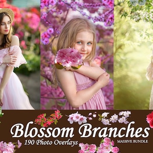 190 Blossom Tree Branch Overlays, Tree Branch Clip Art, Tree Blossom Branch Overlays, Spring Branch, Photo Overlays, Blossoming Branches