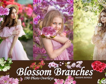 190 Blossom Tree Branch Overlays, Tree Branch Clip Art, Tree Blossom Branch Overlays, Spring Branch, Photo Overlays, Blossoming Branches