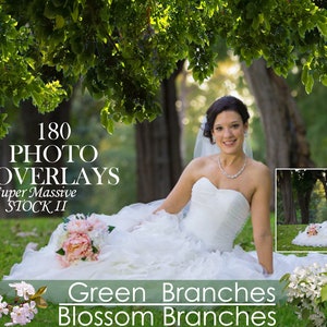 180 Branches Photo Overlays, shooting through branches, tree, green, leaves, spring, summer Photoshop Overlay, Photoshop Overlays, png files image 1
