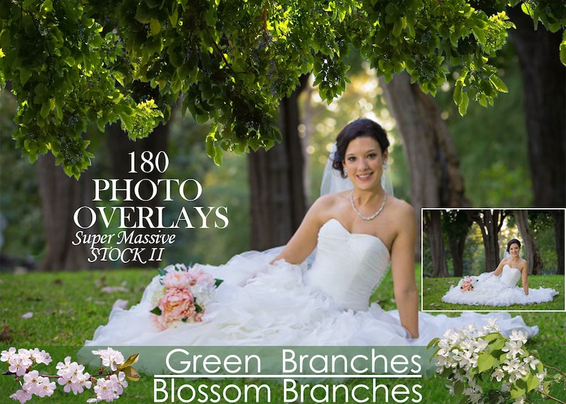 180 Branches Photo Overlays, shooting through branches, tree, green, leaves, spring, summer Photoshop Overlay, Photoshop Overlays, png files image 1