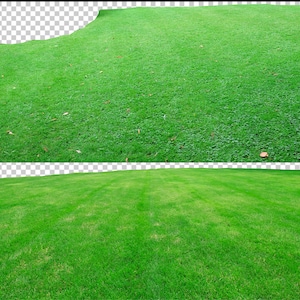May include: Two images of a lush green lawn. The top image shows a wide shot of the lawn with a slight slope. The bottom image shows a close-up of the lawn with visible lines from a lawnmower.
