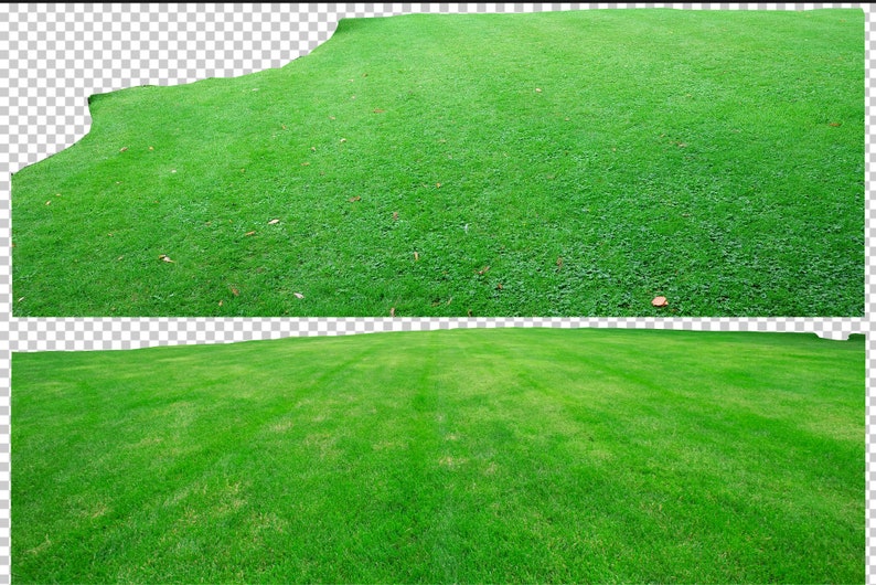 May include: Two images of a lush green lawn. The top image shows a wide shot of the lawn with a slight slope. The bottom image shows a close-up of the lawn with visible lines from a lawnmower.