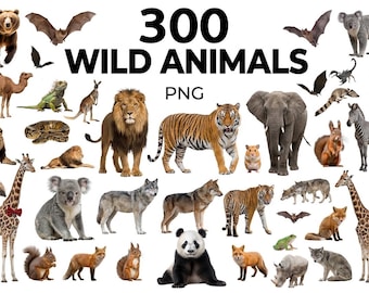 300 Wild Animals PNG Bundle, Safari Lions, Jungle Tigers, Forest Animal PNG, Zoo Clipart