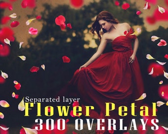 300+ Flower Petal Photo Overlays, Blossom, Rose, Wedding, Falling Petals, PNG