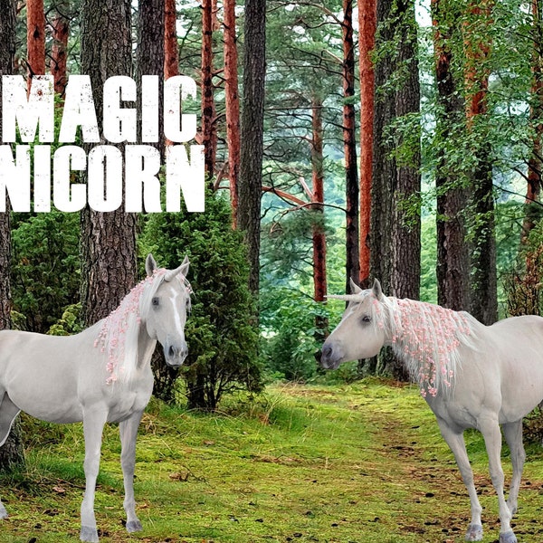 8 superposiciones de caballos de unicornio, animal realista, caballo blanco, fantasía de unicornio mágico, superposición de Photoshop, hada unicornio PNG, caballo mágico