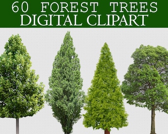 60 Forest Trees Clipart, Digital Tree Cut Out, Green Tree Photoshop Overlays, Photo Overlay, Photo Editing, Tree PNG Transparent clip art