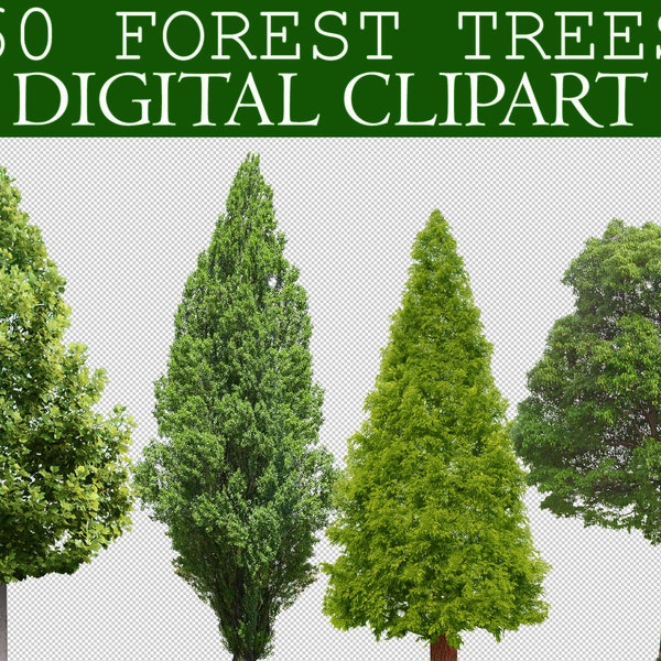 60 Forest Trees Clipart, Digital Tree Cut Out, Green Tree Photoshop Overlays, Photo Overlay, Photo Editing, Tree PNG Transparent clip art