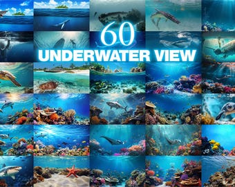 60 Underwater Coral Reef Scene, Ocean Wildlife Photography, Tropical Sunlight, Sea Life Exploration, Marine