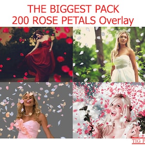 May include: A collage of four images showing different people in various settings with rose petals falling around them. The text "THE BIGGEST PACK 200 ROSE PETALS Overlay" is at the top of the image.