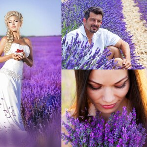 Puede incluir: Tres personas disfrutan de un campo de lavanda. Una mujer con un vestido blanco sostiene un cuenco de frambuesas. Un hombre se sienta en la lavanda y una mujer se inclina para oler las flores.
