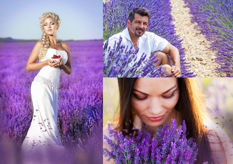 Puede incluir: Tres personas disfrutan de un campo de lavanda. Una mujer con un vestido blanco sostiene un cuenco de frambuesas. Un hombre se sienta en la lavanda y una mujer se inclina para oler las flores.