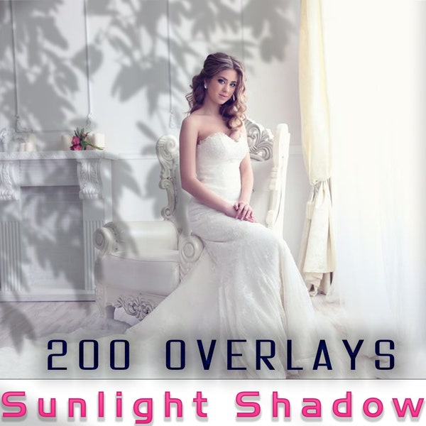 200 Shadow Overlays, Sunlight shadow photo overlays, Shadows Line Effect Overlays, Blinds reflections, Natural Plant Tree Flowers Window PNG