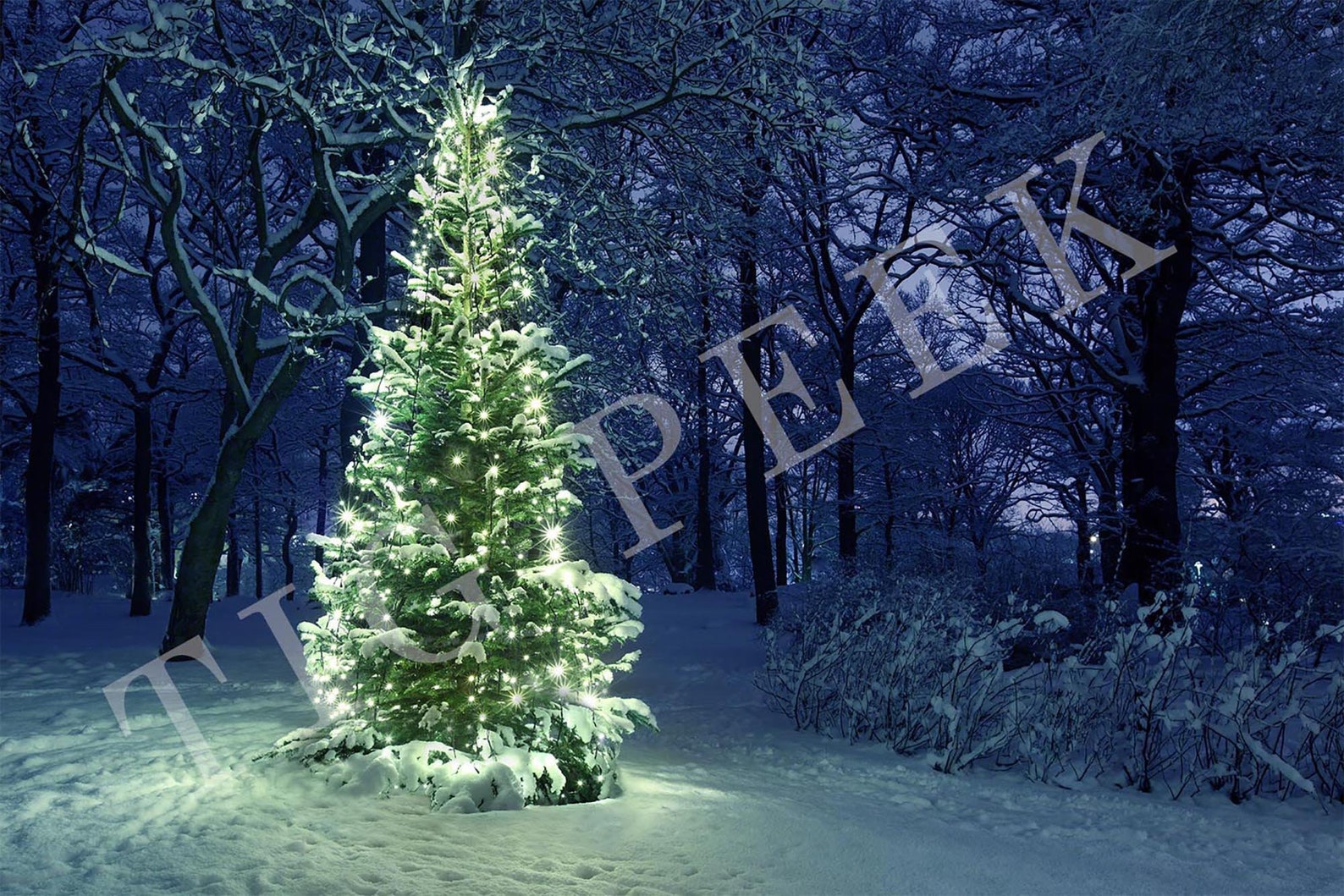 Christmas Tree Digital Backdrop Tree Digital Background Etsy