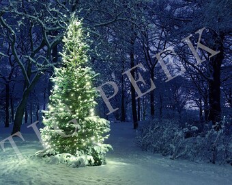 以下が含まれることがあります： 雪が積もった森の中に、1本のクリスマスツリーが立っています。夜空に輝く白いイルミネーションが、ツリーを美しく飾っています。