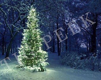 Christmas tree digital backdrop, tree digital background, winter backdrop, winter background, custom card, personalized card, real snow