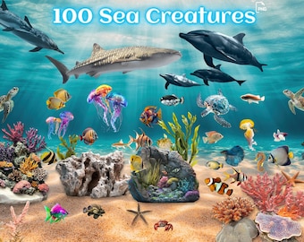 100 Sea Creatures Clipart Bundle, Ocean Animals, Coral Reef, Fish, Dolphins, Turtles, Jellyfish, Shark