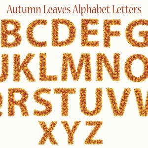 Autumn leaves alphabet letters, Digital Autumn Maple Leaves Alphabet, floral Alphabet, maple leaves clip art, Printable Lettering, isolated