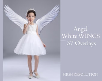 37 Angel Wings Overlays Transparent, Digital Wings overlays, magic fairy wight wing, White Angel Wings Clip Art, Photo Overlays, Wings PNG