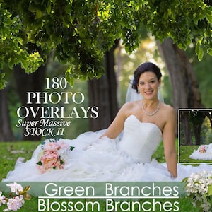 180 Branches Photo Overlays, shooting through branches, tree, green, leaves, spring, summer Photoshop Overlay, Photoshop Overlays, png files