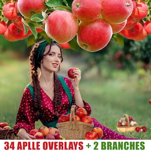 50 Apple Overlays, Red Apples, green apples, apple branch Photoshop overlays, autumn apple Orchard, creative fall, apple fruits in baskets