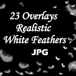 23 White feathers photoshop overlays, Feather photoshop overaly newborn baby girl children photoshop effect file PNG Digital Flying Feathers