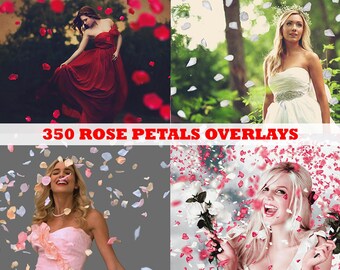 350 fotoöverlägg med fallande rosenblad, alla hjärtans dag, bröllop, kärlekseffekt, fantasi, PNG