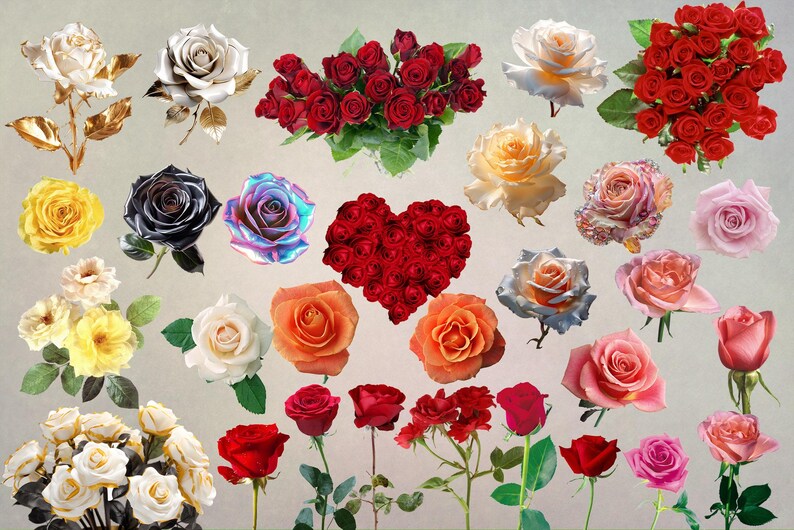 50 Red Rose Clipart: Floral PNG Overlays, Natural Blooming Roses - Etsy