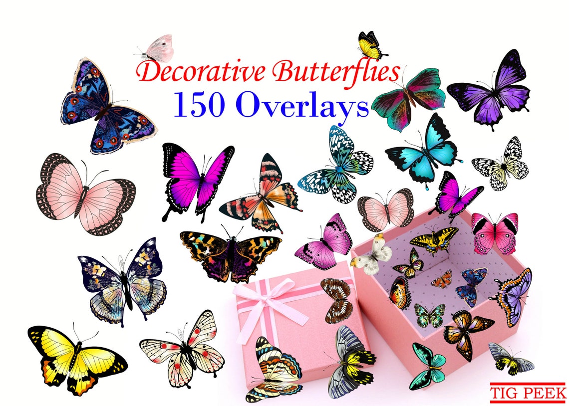 150 Butterflies Photo Overlays Butterfly Overlays for Etsy
