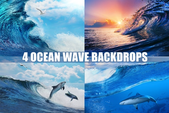 Ocean Wave Photography Backdrops, Summer Sea Surfing, Dolphin