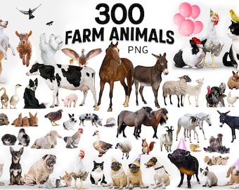 300 Farm Animals PNG Bundle, Domestic Animals, Pets, Livestock, Dog, cat, Cow, Horses, Donkey