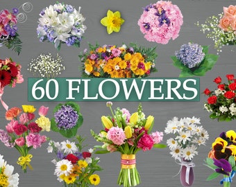 60 Spring & Summer Flowers Clipart, PNG Floral Overlays, Real Flowers, Red Roses, Narcissus