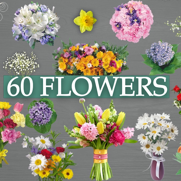 Transparent Overlays Flowers - Etsy