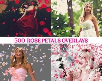 500 Falling Rose Petals Photo Overlays, Spring Blossom, Floating Pink Sakura Petals, Floral PNG