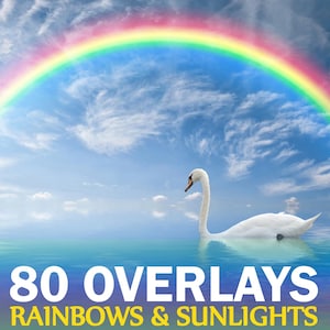 Może przedstawiać: Biały łabędź pływa w zbiorniku wodnym z tęczą łukiem nad nim na błękitnym niebie z białymi chmurami. Tekst "80 OVERLAYS RAINBOWS & SUNLIGHTS" znajduje się na dole obrazu.