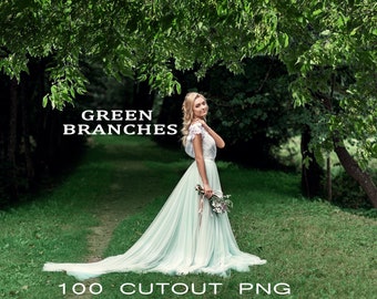 100 Green Branches Photo Overlays, Digital cornes tree Cut Out, fir trees, natural trees, Tree PNG Transparent clip art, Photoshop Overlays