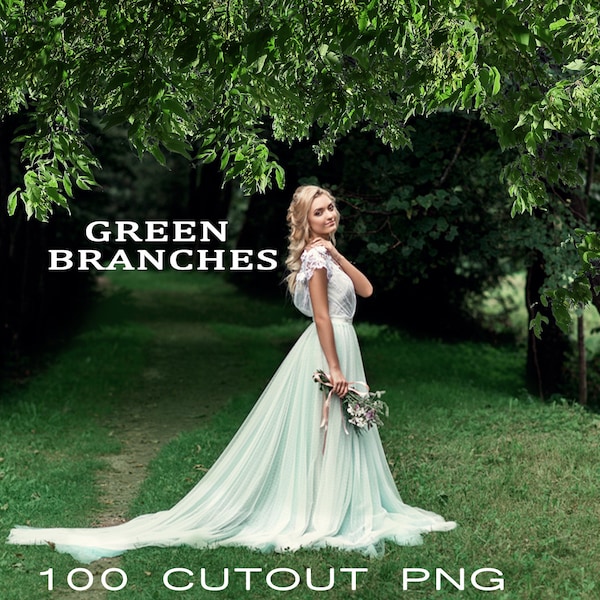 100 Green Branches Photo Overlays, Digital cornes tree Cut Out, fir trees, natural trees, Tree PNG Transparent clip art, Photoshop Overlays