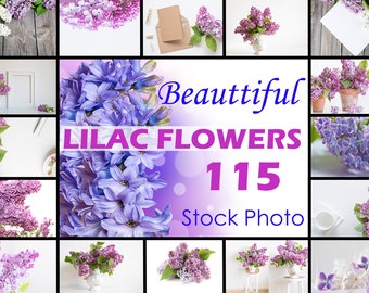 115 Lilac Real Flower Photo Backdrops, Lilac Fotografie Overlays Blühende Bäume Overlay Frühling lila Blumen Blüten Zweige JPG-DATEIEN