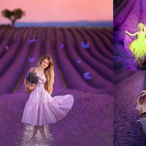 Puede incluir: Tres chicas en campos de lavanda. Una chica lleva un vestido rosa y sostiene un ramo de lavanda. Otra chica lleva un vestido amarillo y tiene los brazos extendidos. La tercera chica lleva un vestido blanco y lee un libro.