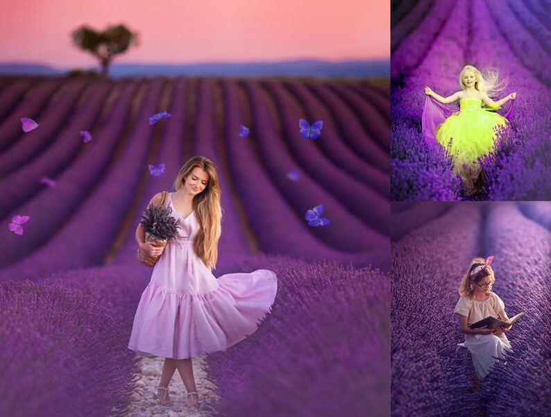 Puede incluir: Tres chicas en campos de lavanda. Una chica lleva un vestido rosa y sostiene un ramo de lavanda. Otra chica lleva un vestido amarillo y tiene los brazos extendidos. La tercera chica lleva un vestido blanco y lee un libro.