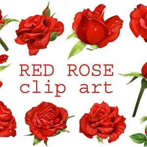 May include: Red rose clip art featuring ten different red roses with water droplets. The roses are in various stages of bloom and are arranged in a circular pattern. The text "RED ROSE clip art" is written in red letters below the roses.