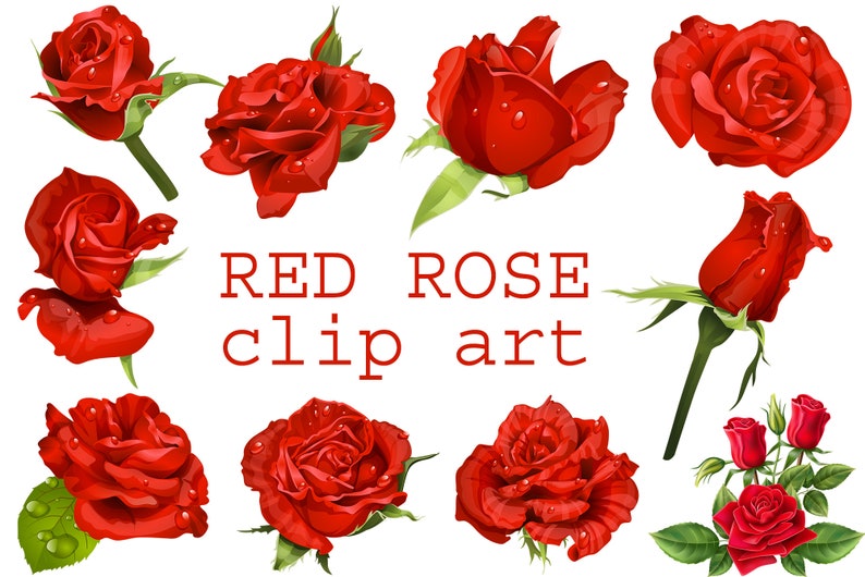 May include: Red rose clip art featuring ten different red roses with water droplets. The roses are in various stages of bloom and are arranged in a circular pattern. The text "RED ROSE clip art" is written in red letters below the roses.