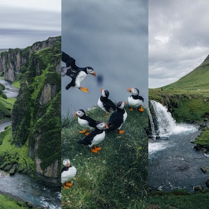 Op de afbeelding: Een schilderachtig landschap met een rivier die door een kloof stroomt, een waterval die langs een berghelling naar beneden stort en een groep papegaaiduikers die op een klif zitten.