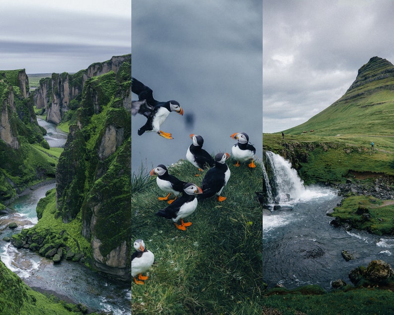 Op de afbeelding: Een schilderachtig landschap met een rivier die door een kloof stroomt, een waterval die langs een berghelling naar beneden stort en een groep papegaaiduikers die op een klif zitten.