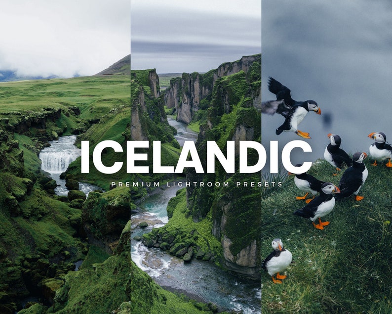 Op de afbeelding: Een collage van drie afbeeldingen met IJslandse landschappen. De eerste afbeelding toont een groene vallei met een waterval. De tweede afbeelding toont een rivier die door een kloof met kliffen stroomt. De derde afbeelding toont een groep papegaaiduikers op een grasbegroeide klif. De tekst "ICELANDIC" en "PREMIUM LIGHTROOM PRESETS" is over de afbeeldingen gelegd.
